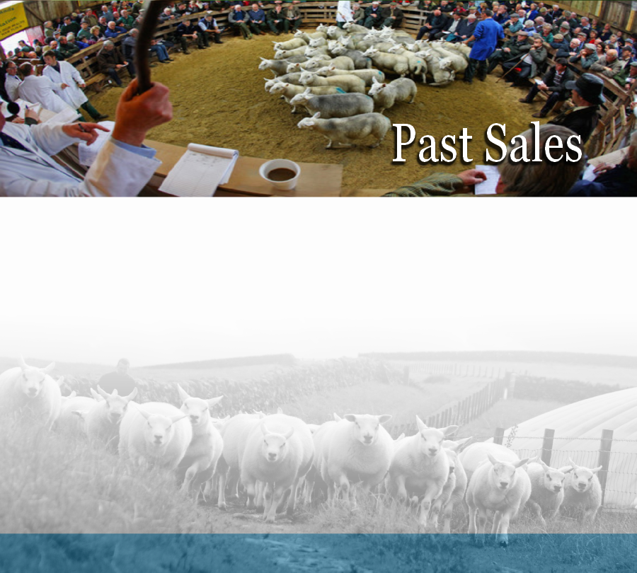 Past Sales